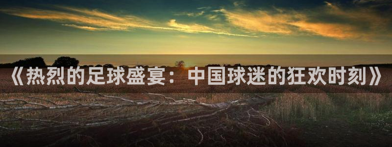 《热烈的足球盛宴：中国球迷的狂欢时刻