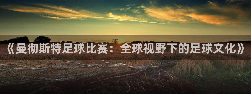  《曼彻斯特足球比赛：全球视野下的足球文化》