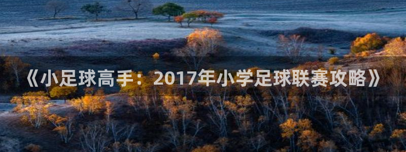《小足球高手：2017年小学足球联赛攻略》