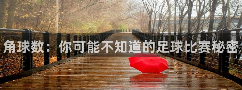 角球数：你可能不知道的足球比赛秘密