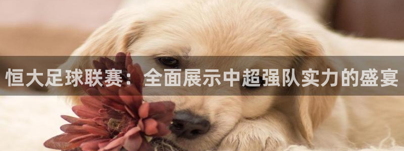  恒大足球联赛：全面展示中超强队实力的盛宴