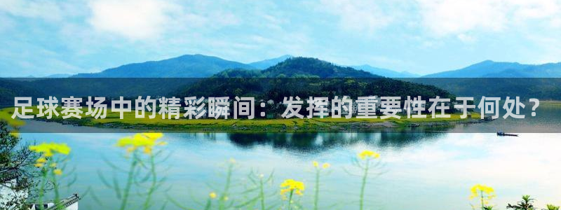 足球赛场中的精彩瞬间：发挥的重要性在于何处？