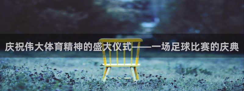 庆祝伟大体育精神的盛大仪式——一场足球比赛的庆典