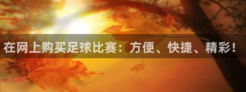 在网上购买足球比赛：方便、快捷、精彩！