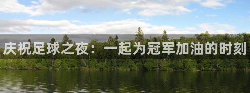  庆祝足球之夜：一起为冠军加油的时刻