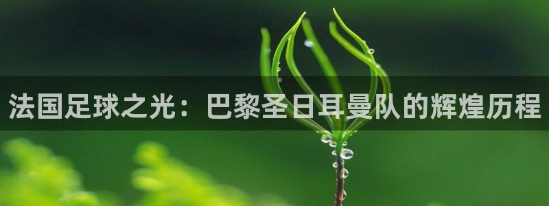 法国足球之光：巴黎圣日耳曼队的辉煌历程