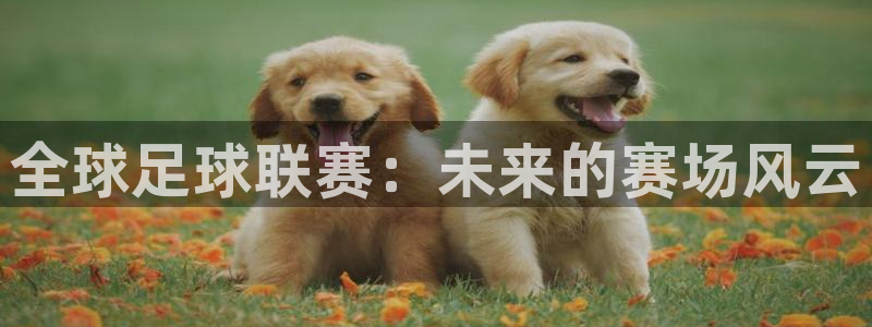 全球足球联赛：未来的赛场风云
