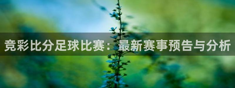  竞彩比分足球比赛：最新赛事预告与分析