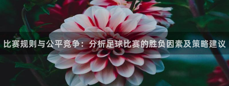  比赛规则与公平竞争：分析足球比赛的胜负因素及策略建议