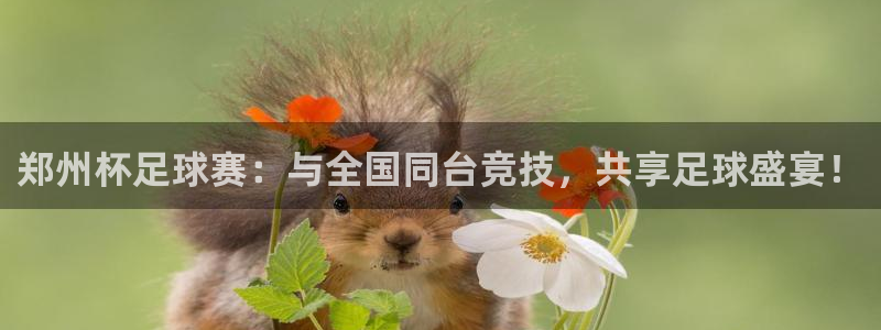 郑州杯足球赛：与全国同台竞技，共享足球盛宴！
