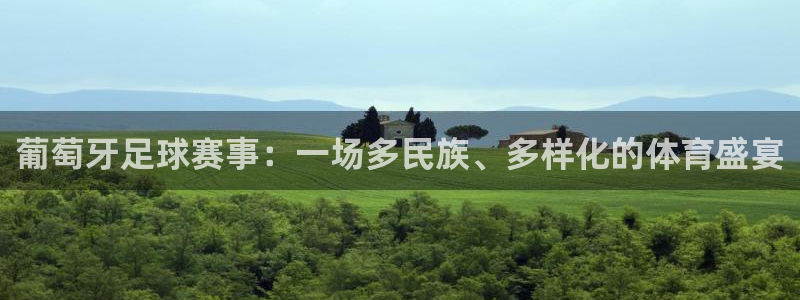 葡萄牙足球赛事：一场多民族、多样化的体育盛宴