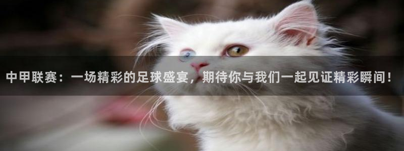 中甲联赛：一场精彩的足球盛宴，期待你与我们一起见证精彩瞬间！