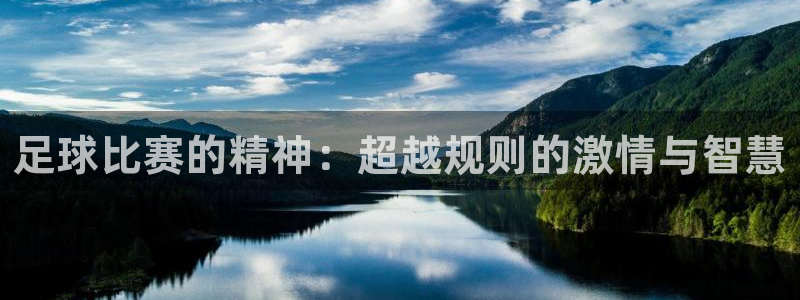 足球比赛的精神：超越规则的激情与智慧