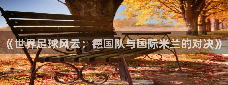 《世界足球风云：德国队与国际米兰的对决》