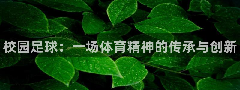  校园足球：一场体育精神的传承与创新