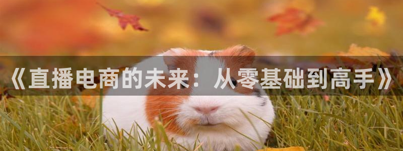 88看球体育：《直播电商的未来：从零基础到高手》