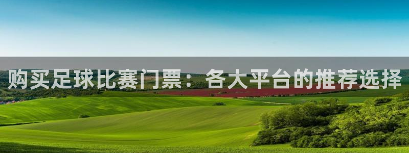 购买足球比赛门票：各大平台的推荐选择