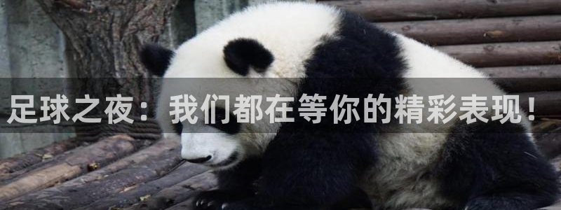 足球之夜：我们都在等你的精彩表现！