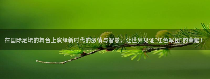 在国际足坛的舞台上演绎新时代的激情与