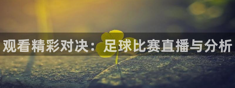 观看精彩对决：足球比赛直播与分析