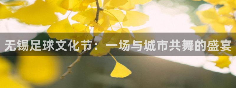 无锡足球文化节：一场与城市共舞的盛宴
