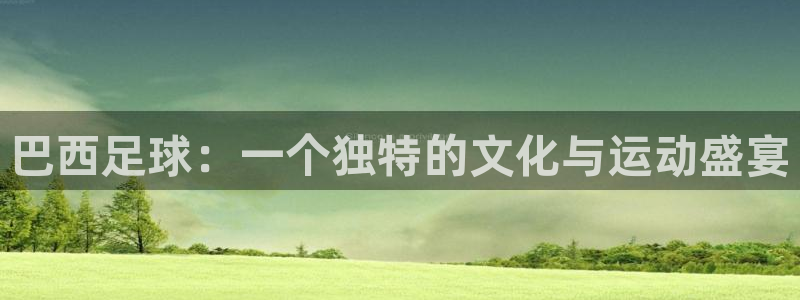 巴西足球：一个独特的文化与运动盛宴