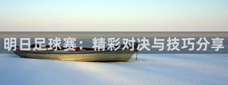 明日足球赛：精彩对决与技巧分享