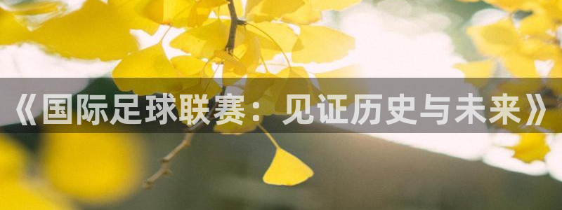 《国际足球联赛：见证历史与未来》