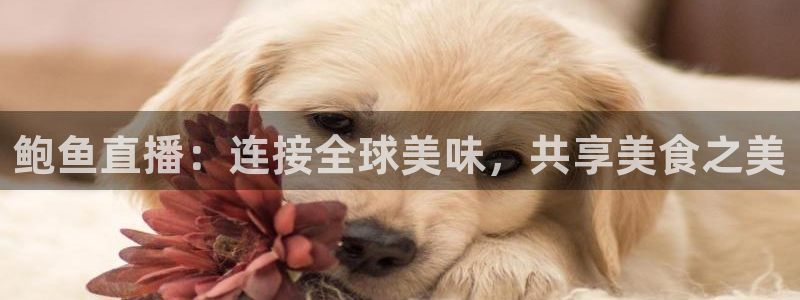88看球nba直播：鲍鱼直播：连接全球美味，共享美食之美
