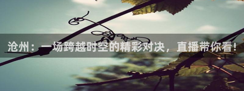 88看球nba直播视频在线直播：沧州：一场跨越时空的精彩对决，直播带你看!