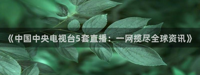 88看球体育直播