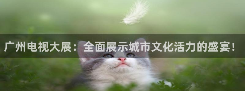 88看球nba直播吧：广州电视大展：全面展示城市文化活力的盛宴！
