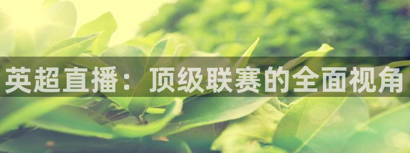 88看球nba直播视频在线直播官网：英超直播：顶级联赛的全面视角