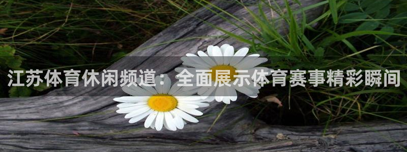 88看球nba线上直播：江苏体育休闲频道：全面展示体育赛事精彩瞬间