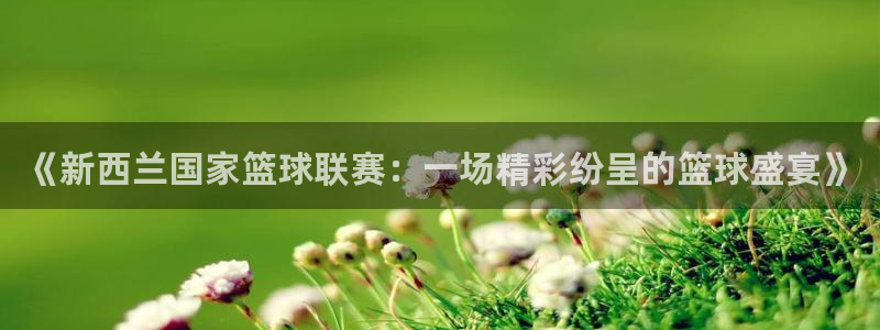 88看球nba直播官网：《新西兰国家篮球联赛：一场精彩纷呈的篮球盛宴》