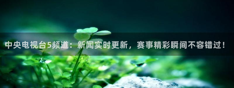 88看球直播无插件nba：中央电视台5频道：新闻实时更新，赛事精彩瞬间不容错过！