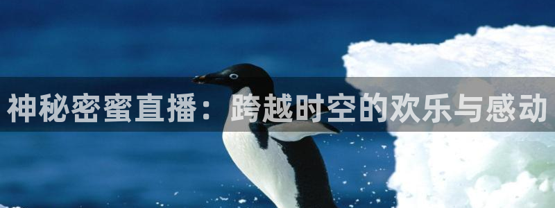 88看球nba直播免费观看高清：神秘密蜜直播：跨越时空的欢乐与感动