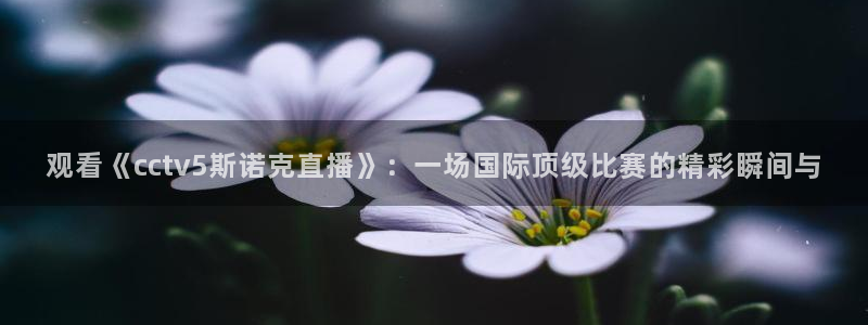 888看球直播吧：观看《cctv5斯诺克直播》：一场国际顶级比赛的精彩瞬间与
